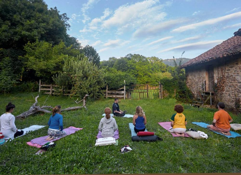 Un grupo practicando yoga en la naturaleza